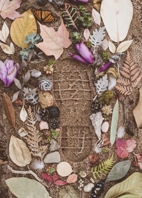 Assorted flowers and leaves on sand with shoe mark